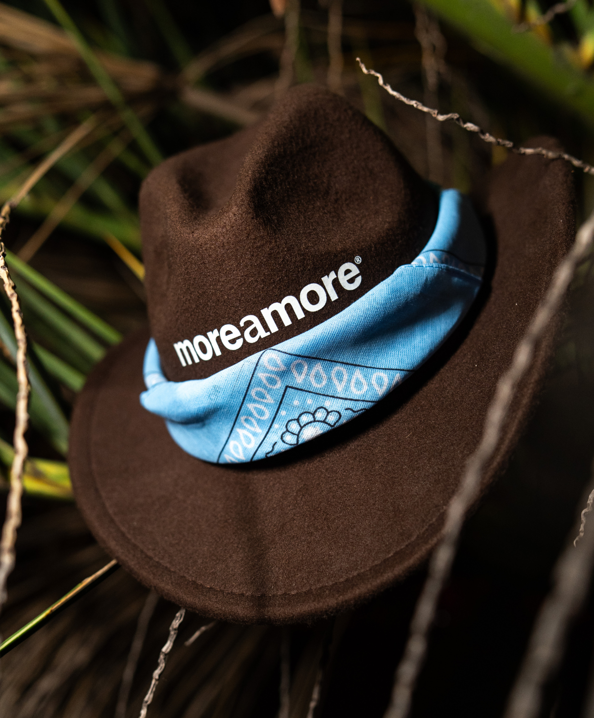 BROWN RODEO HAT